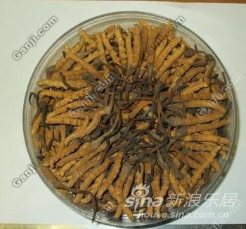 �ɶ����ն����Ĳ�13439830111�չ���ù�����Ĳ�