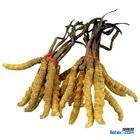 նĲ13439830111ֽչĲ