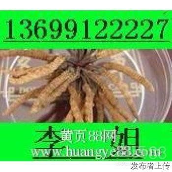 лնĲݶ13699122227Ƭ񥰲ţ躣㽺