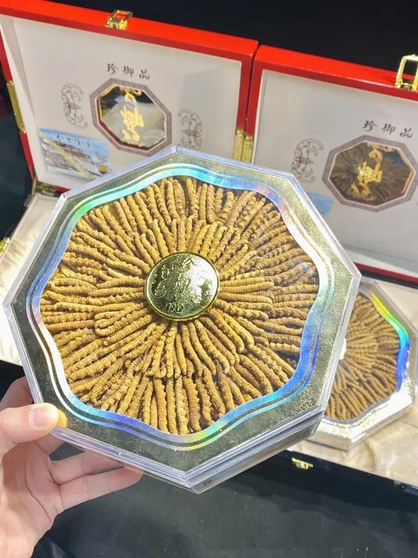 13699122227նĲݶƬ񥰲ţ躣㽺