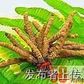 13699122227նĲݶƬ񥰲ţ躣㽺