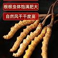 13699122227նĲݶƬ񥰲ţ躣㽺