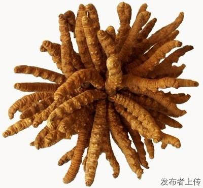 Ȫ13699122227նĲݶƬ񥰲ţ躣㽺