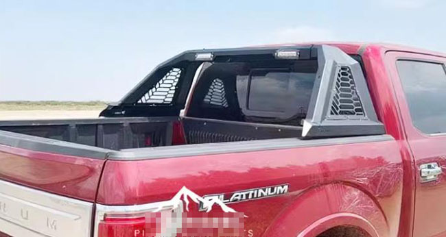 F150̹;ƤǶ̿żܷ