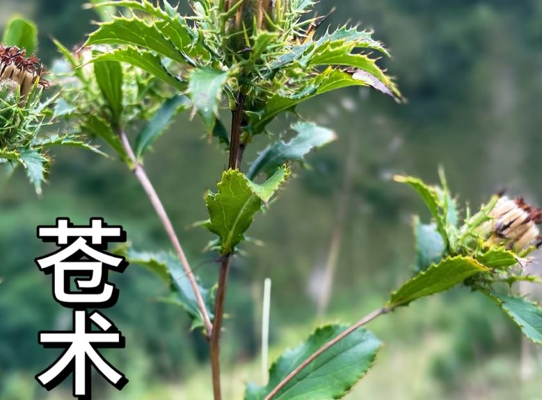 ������Դ������ֲ���ͼ����ż���ҵ��·��
