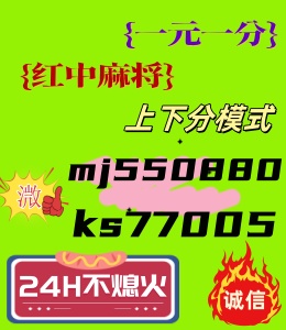 齫24СʱһԪһ齫