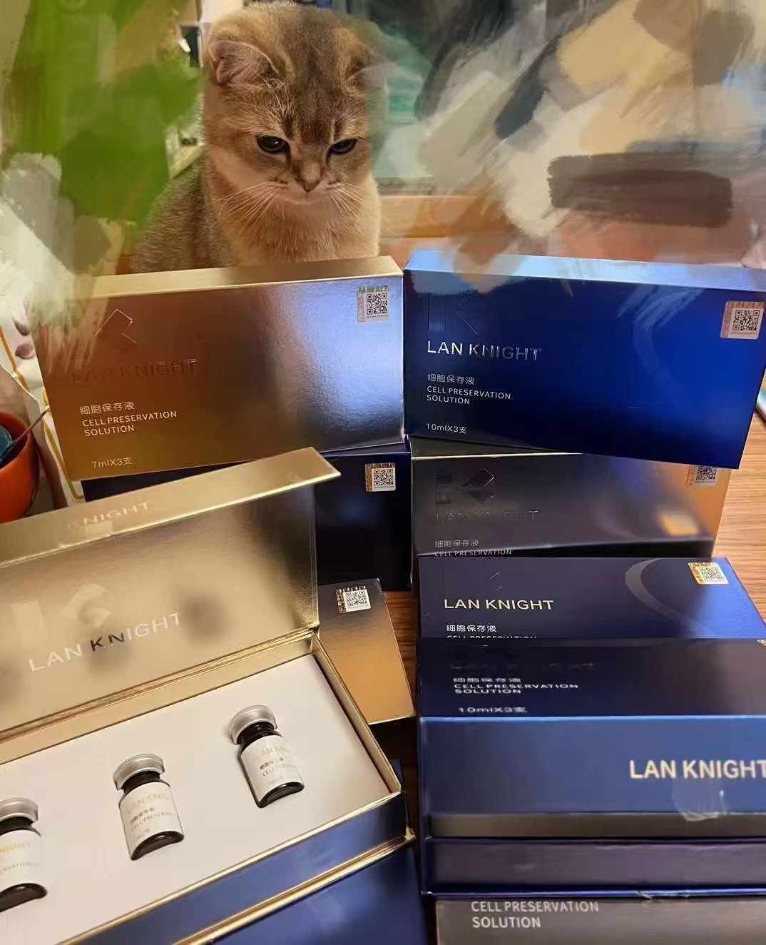 LANKNIGHT����ʿ��֬&����