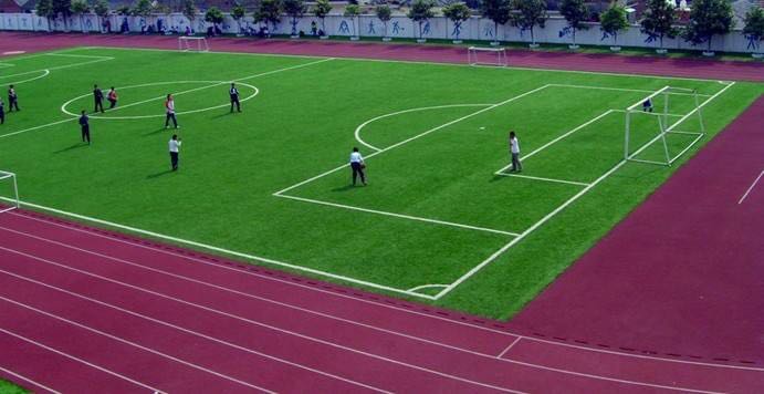 �������򳡲�ƺ,�������򳡲�ƺ,��Ԫ���򳡲�ƺ,�������򳡲�