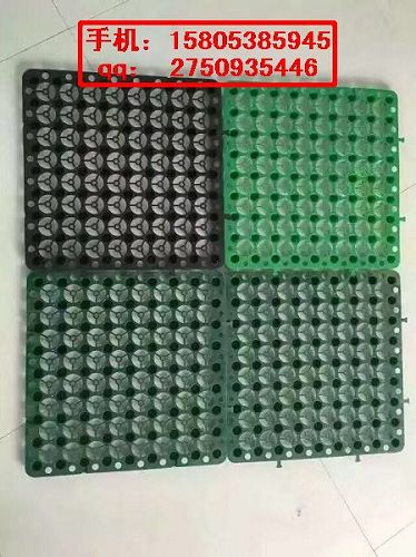 ����20�߳�����ˮ��ح��ֲ����ˮ����������