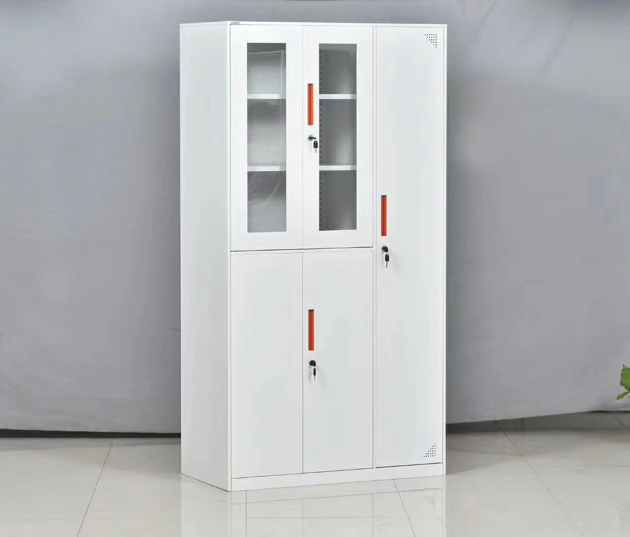 ݸ¹