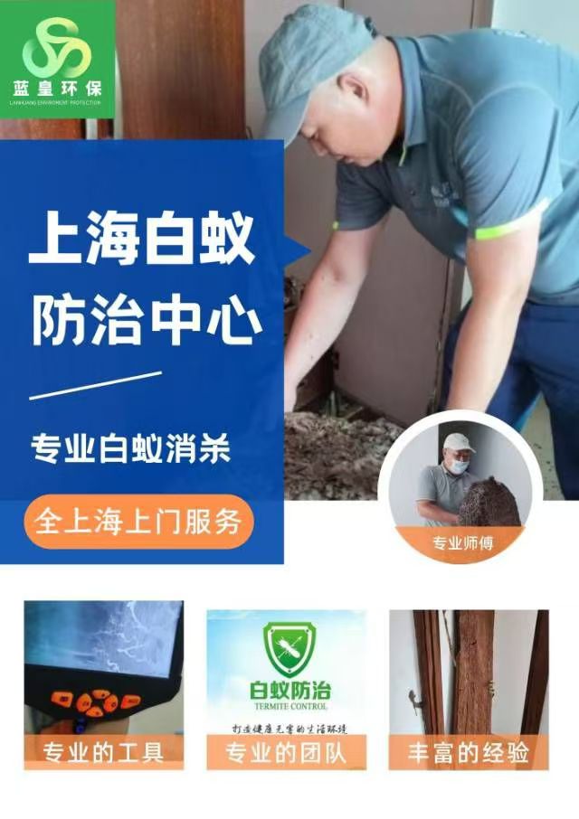 Ϸ24Сʱ绰 ָϷϺ