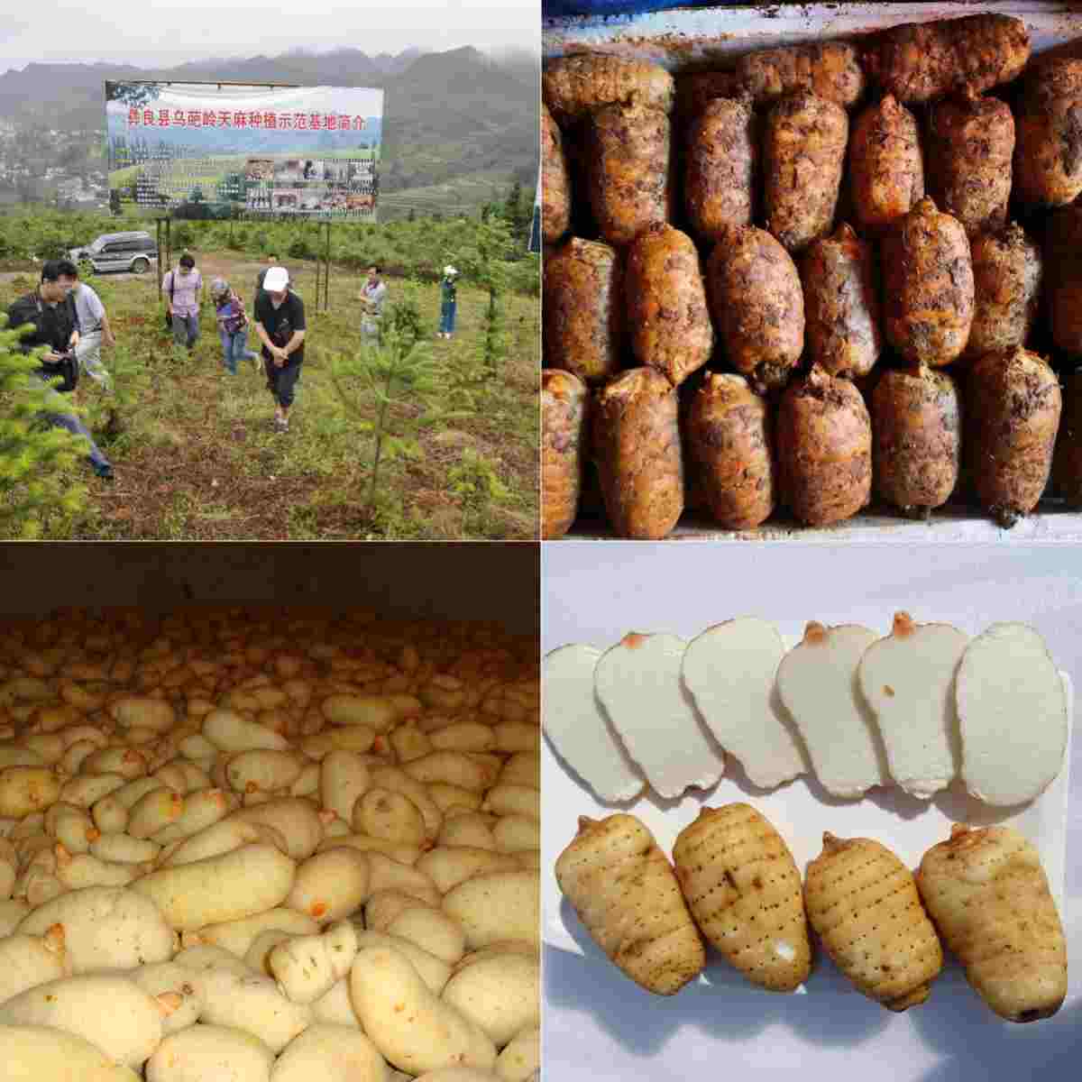 ͨ黺ŵø߻Ʒʣˬ״̬