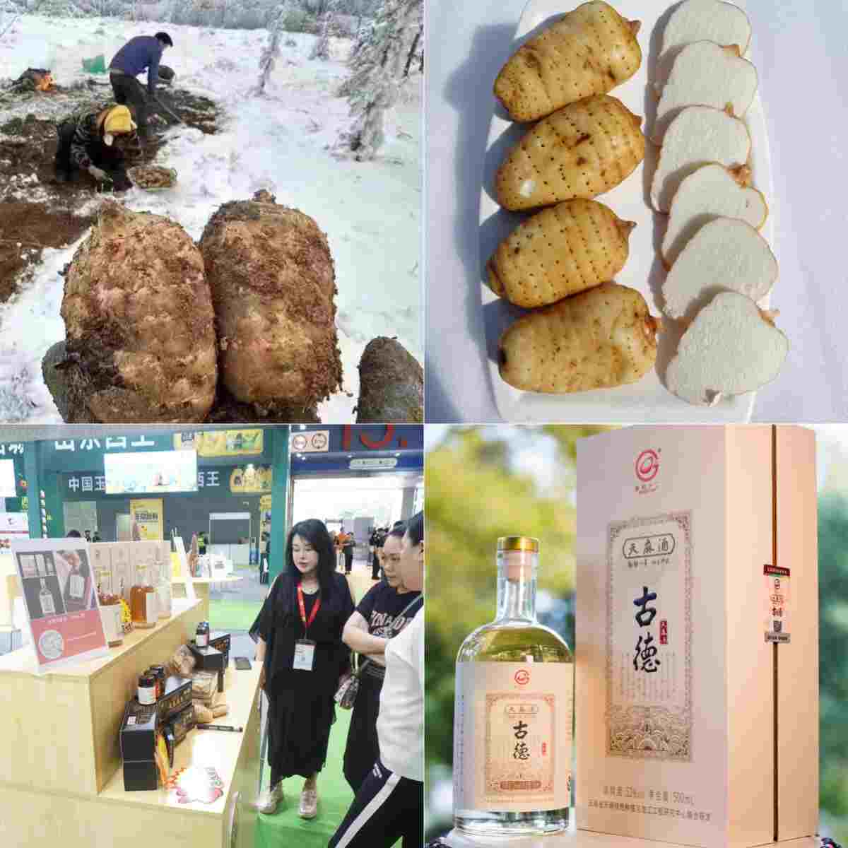 ͨƼӹ̣ŵﾫÿһר͸Ʒ