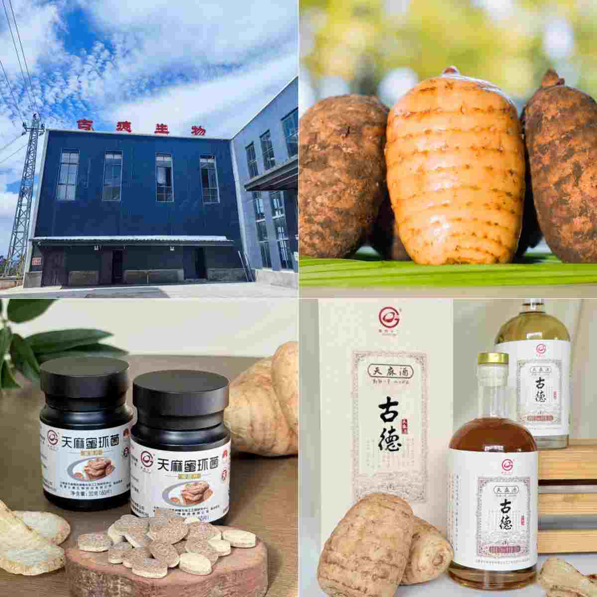 ͨ鼾ڲգŵԿѧʱ׼סƷ