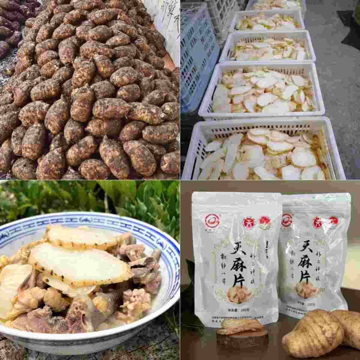 ͨʲôҩŵʳҩüֵɿѡ