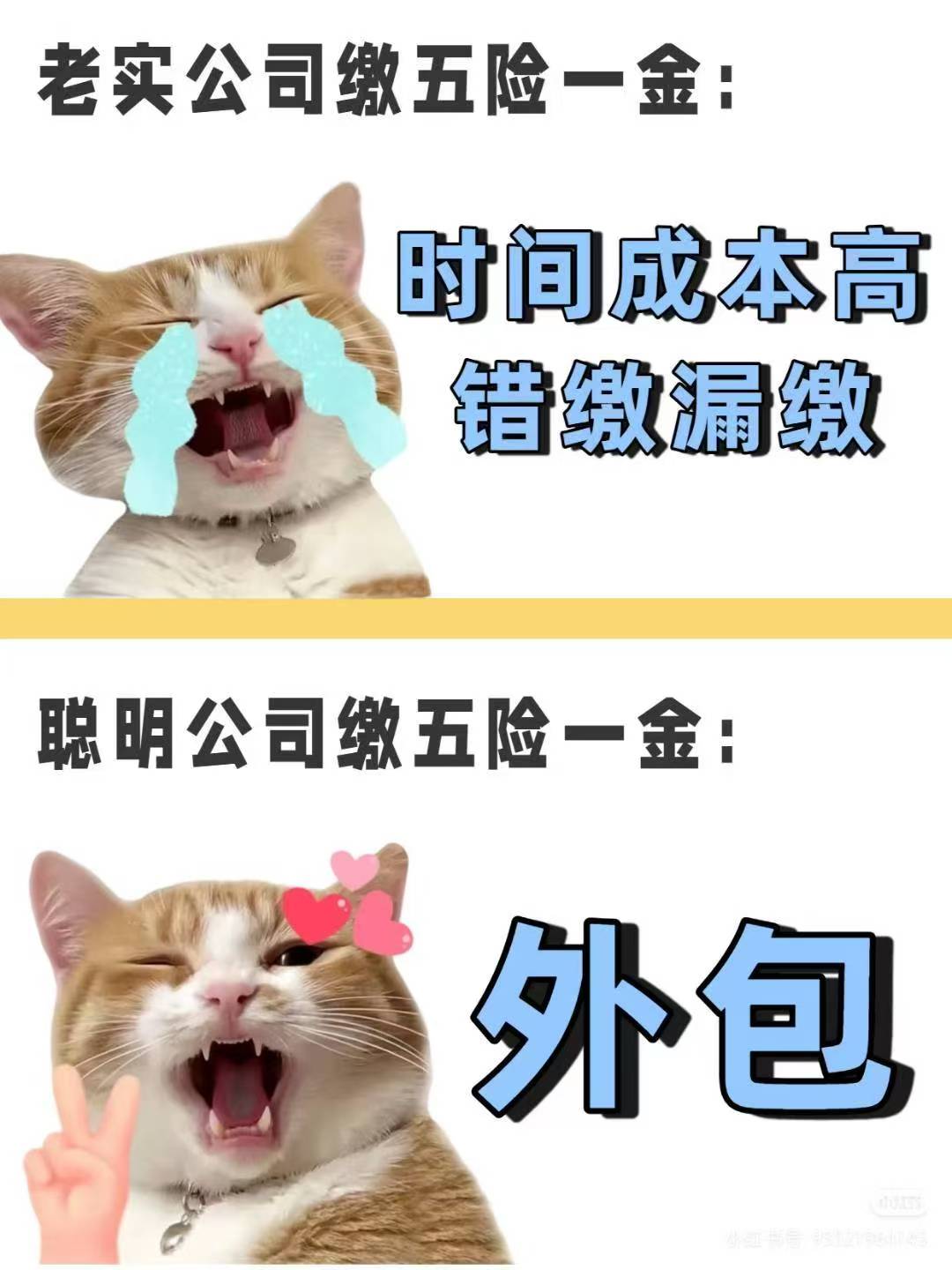 �����籣�������������ϴ������գ������籣���