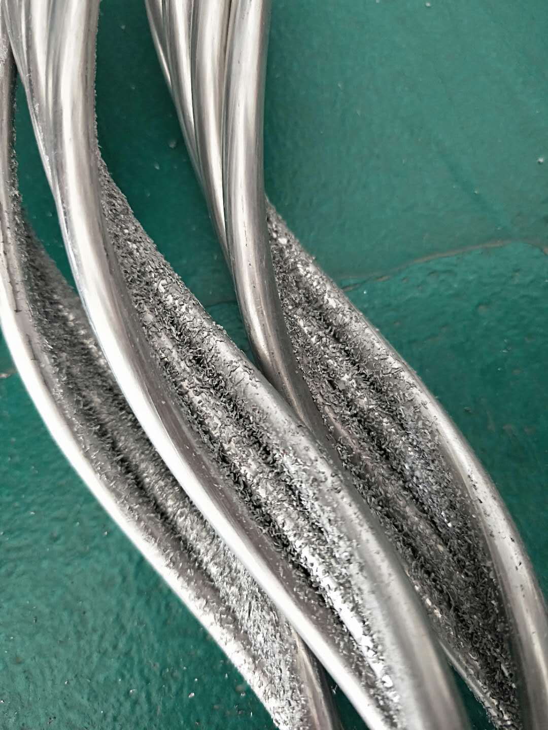 ½߹ӦӹԤ˿߽