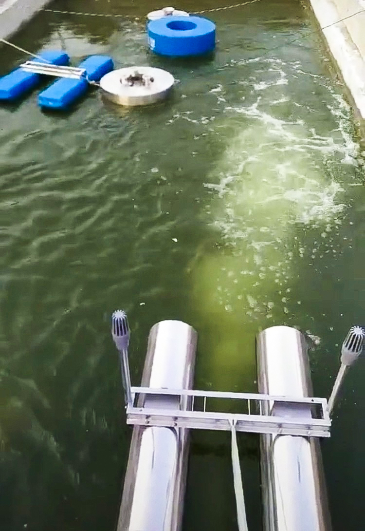  ˮ徻ĸЧ