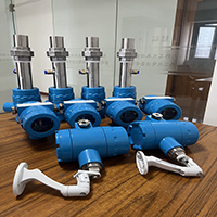 �ش��ȹ�һ�廯����̽����